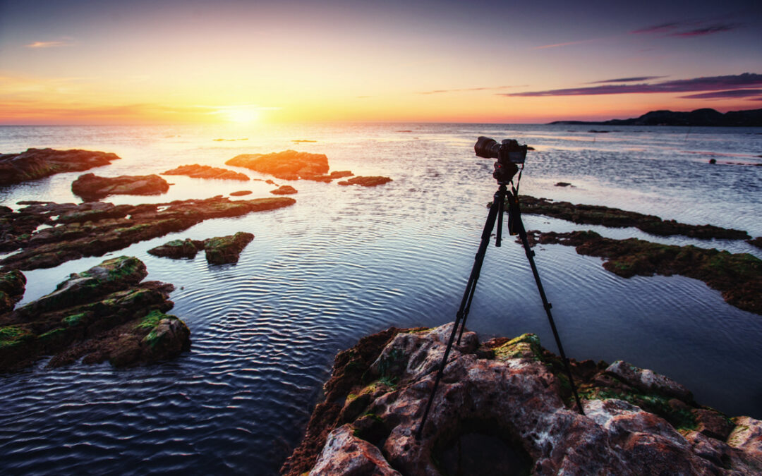 Why You Should License Your Website Photos