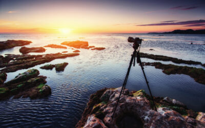 Why You Should License Your Website Photos